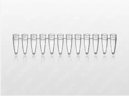 Tubo de reacción transparente para PCR.